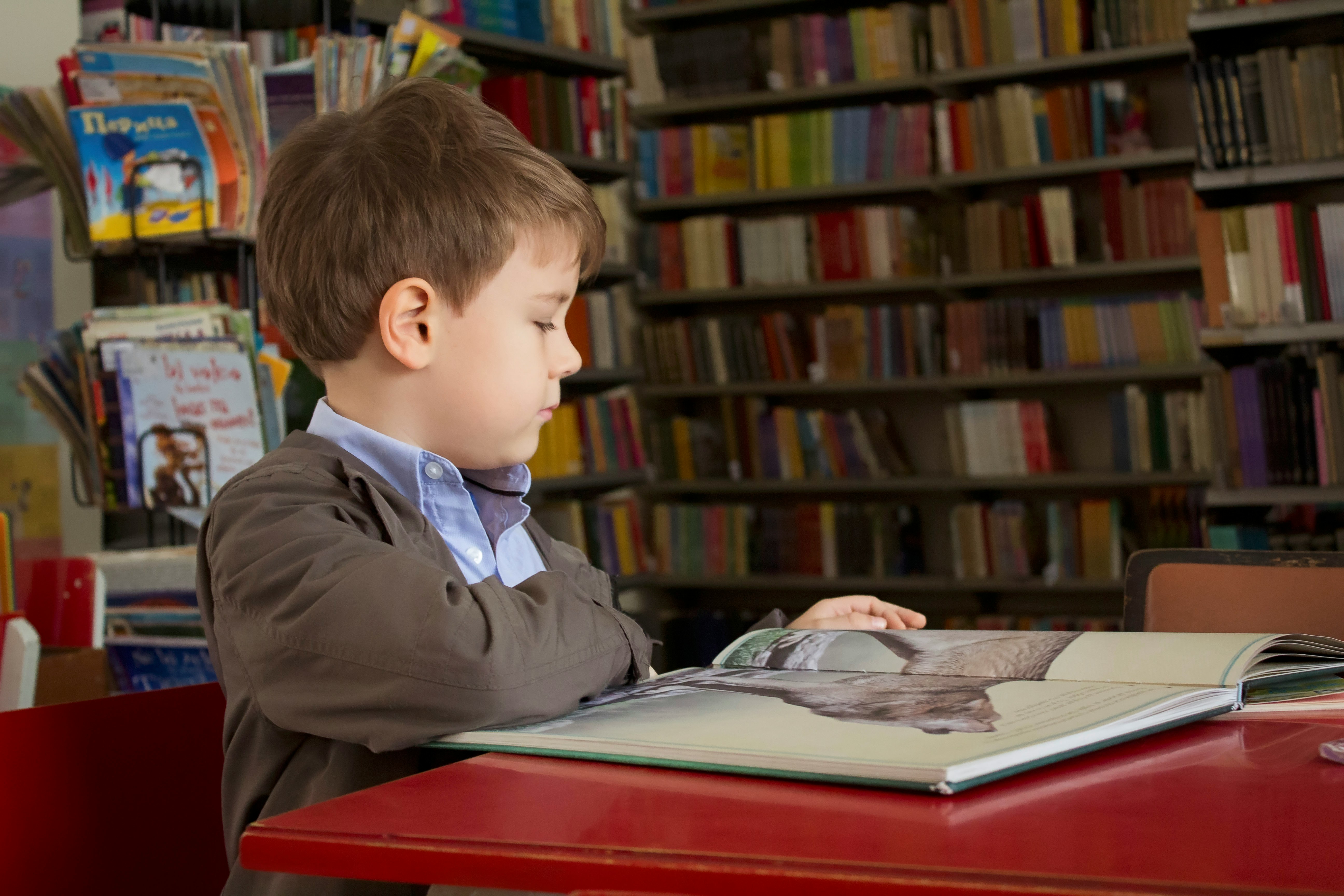 Young primary students engaged in classroom learning